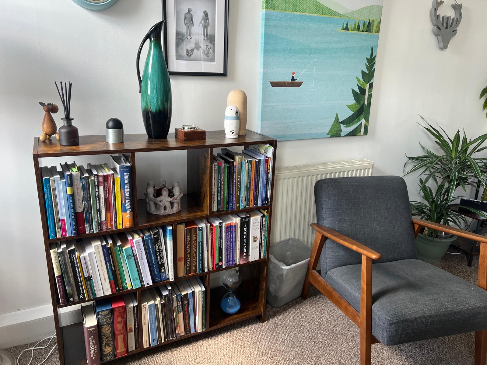 Book shelf with therapy related books on in therapy room